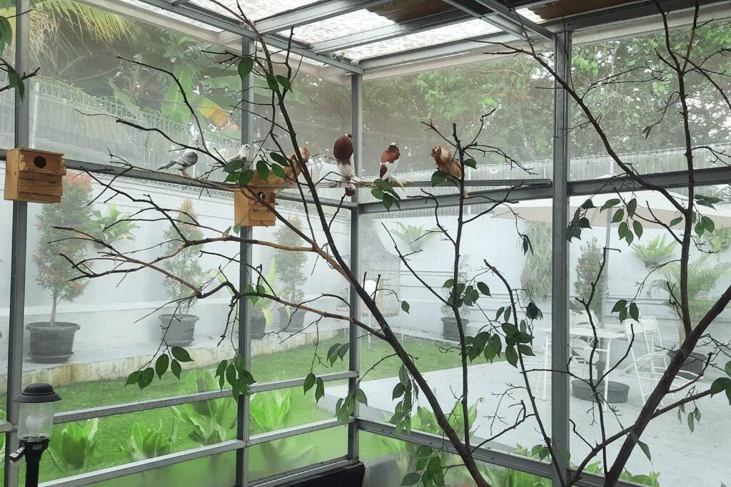 Garden Villa By Villapedia 茂物 外观 照片